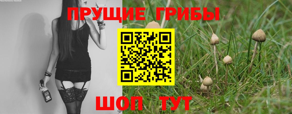 Галлюциногенные грибы мухоморы Шатура