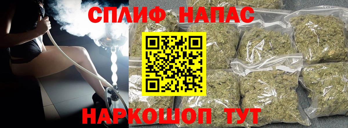Каннабис план Шатура